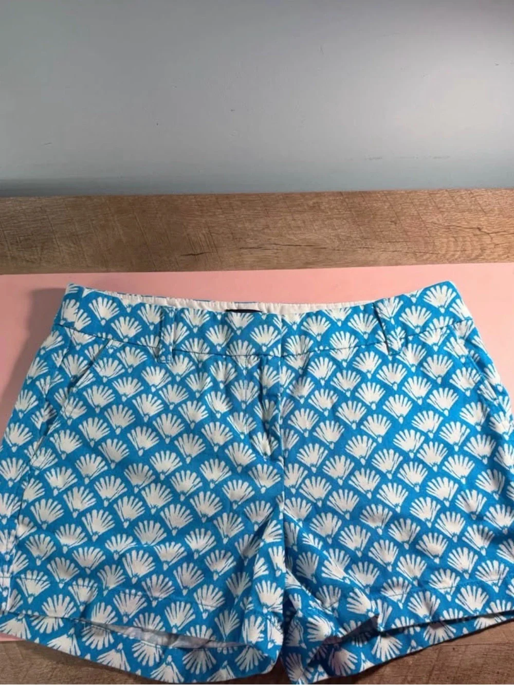 Blue and White Printed J Crew Shorts